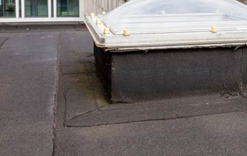 disadvantages of New Brancepeth flat roofs