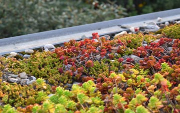 the cost of New Brancepeth green roof installation