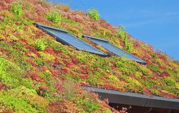New Brancepeth living roof systems